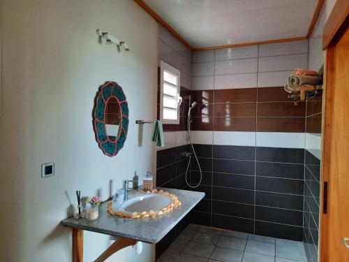 a bathroom with a sink and a shower at Ferme auberge le Ti'planteur in Saint-Philippe