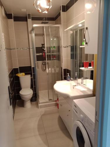 une salle de bain avec une douche, des toilettes et un lavabo dans l'établissement Appartement a 2 pas de la plage, à Erquy