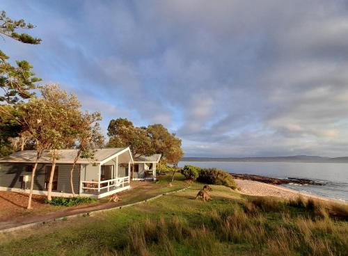 a house on the shore of a body of water at NRMA Murramarang Beachfront Holiday Resort in Durras