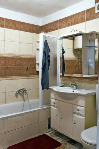 a bathroom with a sink and a tub and a toilet at Zelena oaza in Škrljevo