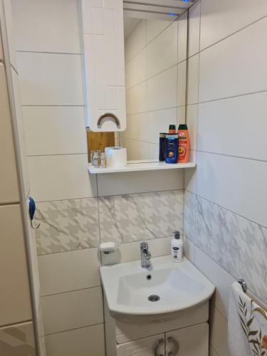 Koupelna v ubytování Apartmani Villas