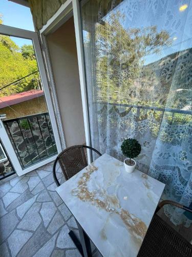 a table with a potted plant sitting on a balcony at Borjomi View in Borjomi