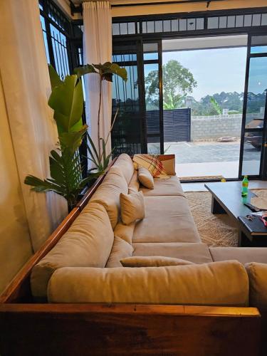 a brown couch in a living room with a plant at Muguet by Ibiscot development in Kampala