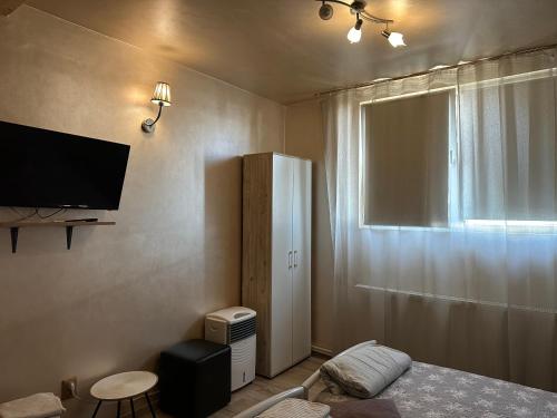 a bedroom with a bed and a television and a window at Pensiunea exotic in Craiova
