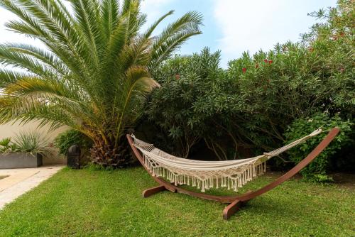 a hammock in a garden with a palm tree at P'tit Bout de paradis in Cavaillon