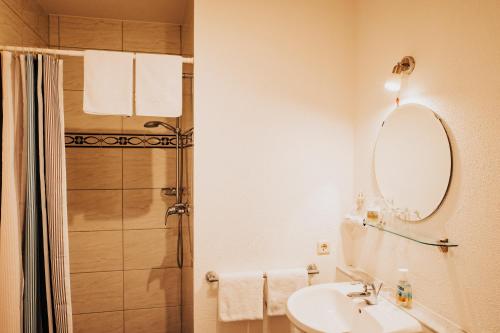 a bathroom with a shower and a sink and a mirror at Gästehaus Windhagen in Windhagen