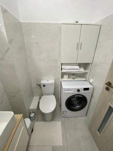 y baño pequeño con aseo y lavadora. en Apartament tip studio, en Roşu