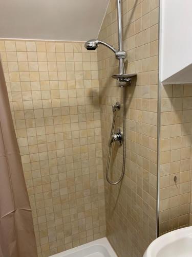 a shower in a bathroom with a toilet at Casetta romantica a Collepardo in Collepardo