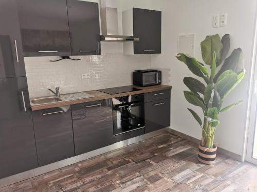 eine Küche mit schwarzen Geräten und einer Topfpflanze in der Unterkunft Logement cosy avec piscine et jacuzzi privatifs 4 étoiles in Saint-Dolay