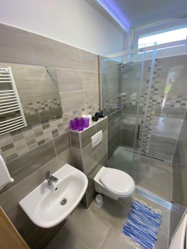 a bathroom with a sink and a toilet and a shower at Aba-Böbe Vendégház in Zalaszentiván