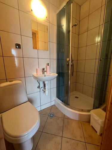 Bańska NiżnaにあるToporowy Dworekのバスルーム(トイレ、シャワー、シンク付)