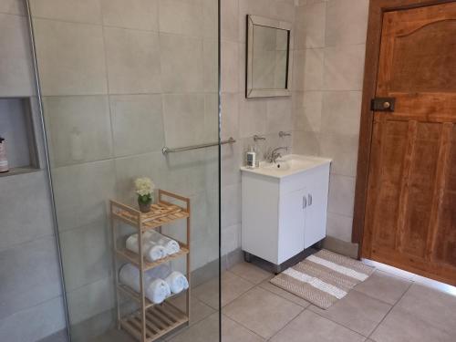 y baño con ducha, lavabo y aseo. en 7 On Grey Guesthouse, en Colesberg