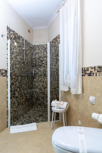 a bathroom with a shower and a toilet and a sink at Le Muse Hotel in San Bonifacio