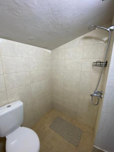 Bilik mandi di Spring House Изворна Къща