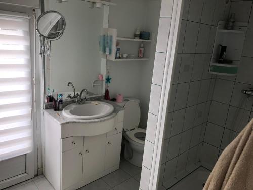 une salle de bain avec un lavabo et des toilettes dans l'établissement Maison Saint Gildas de Rhuys, à Saint-Gildas-de-Rhuys