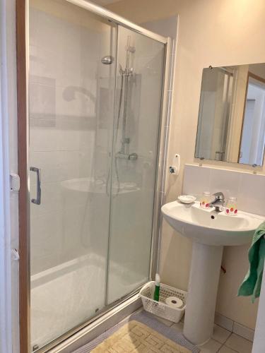 une salle de bain avec douche et lavabo dans l'établissement Maison de village - MadreMia ! A proximité de Bagnoles de l'Orne, à Madré