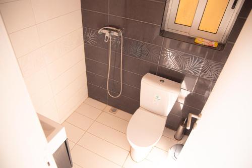 a bathroom with a toilet and a shower at Paradise Gardens in Xagħra