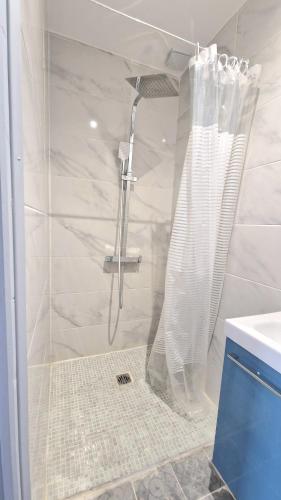 une douche avec un rideau de douche dans une salle de bain dans l'établissement Appartement Hypercentre, à Valenciennes