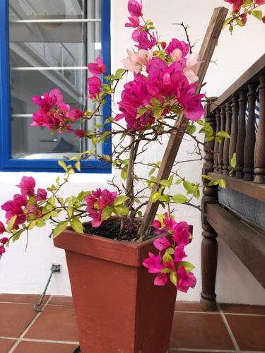 Taman di luar BlueSky Arniston Guest House