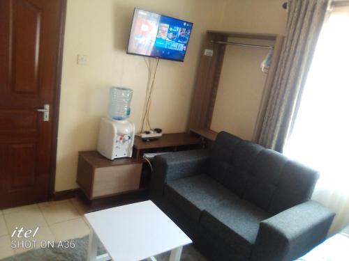Elegantly furnished studio في نيروبي: غرفة معيشة مع أريكة وتلفزيون