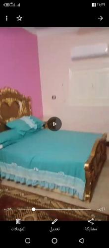 阿布辛貝的住宿－سفن تورز هوستيل，一张带勺子的床的视频