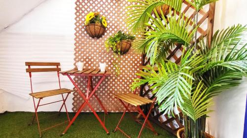 a table and two chairs next to a wall with plants at Hongdae Stn 2min 2R 1F #Core Stay 101 in Seoul