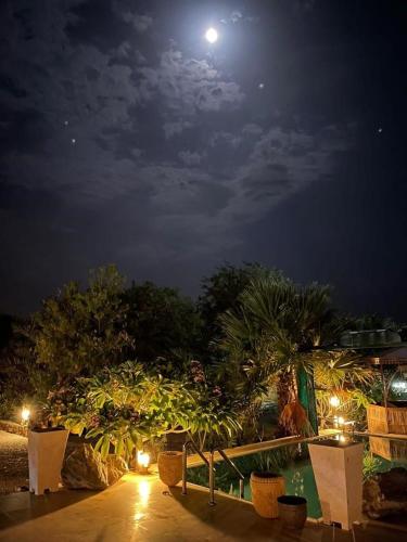 a full moon over a garden at night at استراحة الرياحين in Bilād Sayt