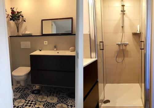 uma casa de banho com um lavatório, um WC e um chuveiro em Antwerpen perfect location em Antuérpia