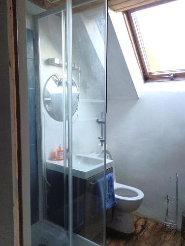 une salle de bain avec une douche en verre et des toilettes dans l'établissement Cottage reflet de bonheur, à Saint-Pierre-Bellevue