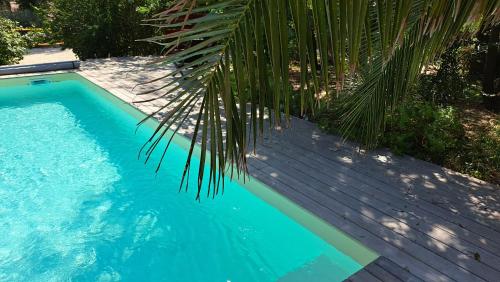 a swimming pool with a wooden deck and a palm tree at Les chambres du Chateau de Fenestrelle in Aubagne