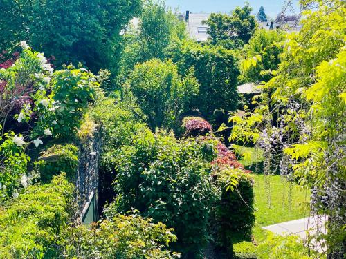 a garden filled with lots of plants and trees at Hôtel VCB Ciney Centre-ville in Ciney