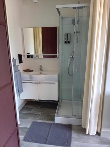 ein Bad mit einer Dusche, einem Waschbecken und einem Spiegel in der Unterkunft Chez Nicolas 