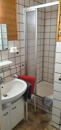a bathroom with a white sink and a shower at Haus Bodetal in Altenbrak
