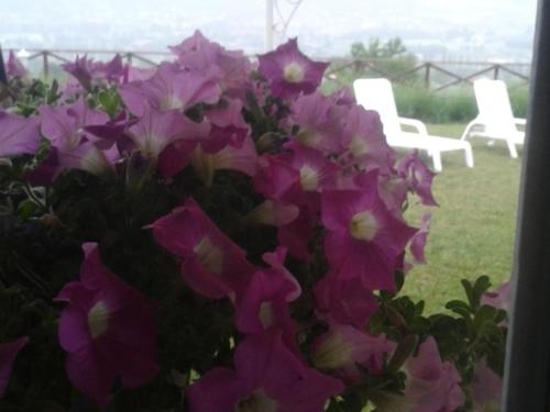 Gallery image of B&B Fonte Cugno in Gualdo Tadino