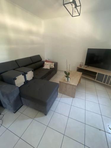 a living room with a couch and a flat screen tv at Appartement in Valence
