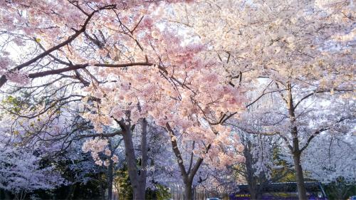 Gallery image of 东京上野超级中心 设计师房间Yeob 上野公园3分钟 车站1分钟 超级繁华 免费wifi 戴森吹风 in Tokyo