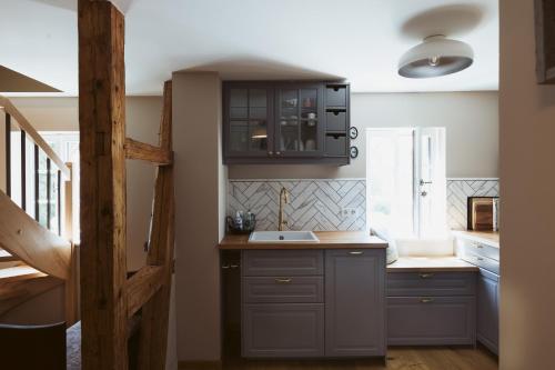 a kitchen with gray cabinets and a sink at Flecksches Gut in Leipzig