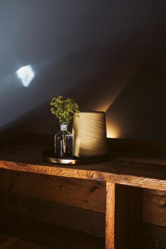 a plant in a vase sitting on a wooden table at Flecksches Gut in Leipzig