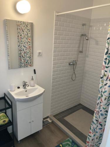 ポロスローにあるJövő Hét Pihenőházの洗面台とシャワー付きのバスルーム