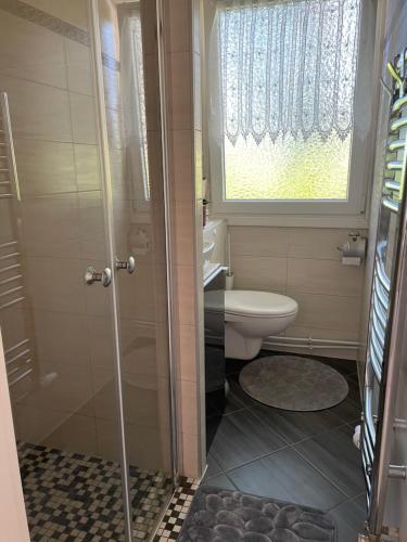 a bathroom with a shower and a toilet and a window at Bungalow am Schwielochsee 2.0 in Schwielochsee