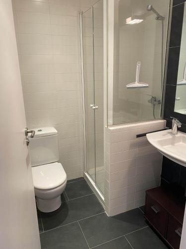 une salle de bain avec toilettes, douche et lavabo dans l'établissement Les Ferreries Saillagouse, à Saillagouse