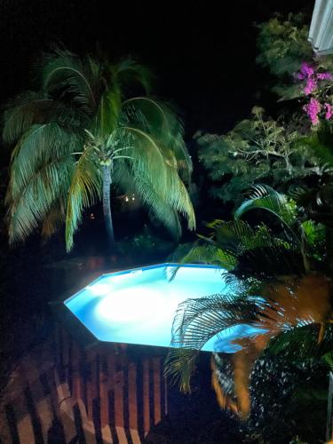 a palm tree and a swimming pool at night at Villa Nature caraïbe lodge, vue mer, piscine privée in Deshaies
