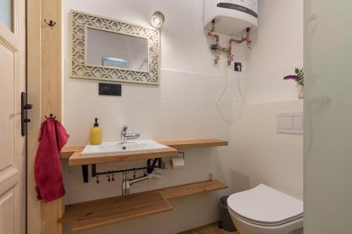 a bathroom with a sink and a toilet at Rentynówka in Gietrzwałd