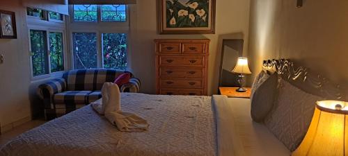 um quarto com uma cama, uma cadeira e uma janela em Kartagus Guest House em San Salvador