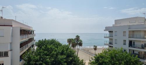 Apartamentos Real 81