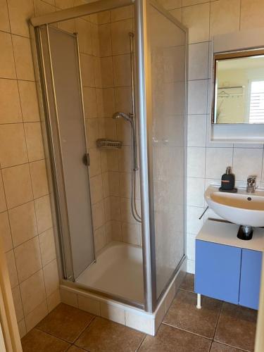 a bathroom with a shower and a sink at Studio der Alpen in Thun