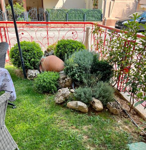 a garden with plants and rocks in the grass at Smile studio in Drama