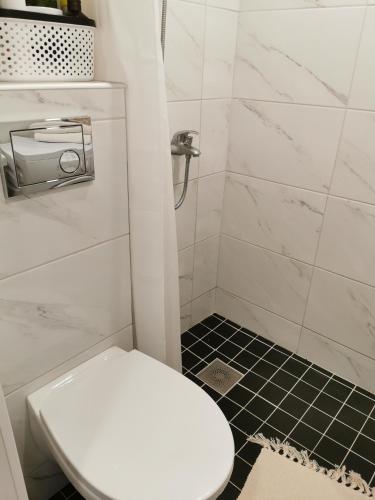 a bathroom with a white toilet and a shower at Jaama Apartment in Valga