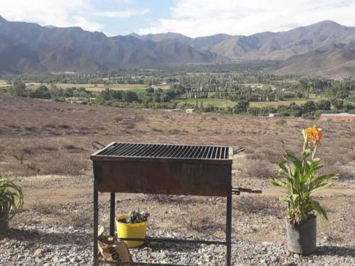 a barbecue grill with two potted plants in a field at Cabaña Abra del Monte Monohambiente in Cachí