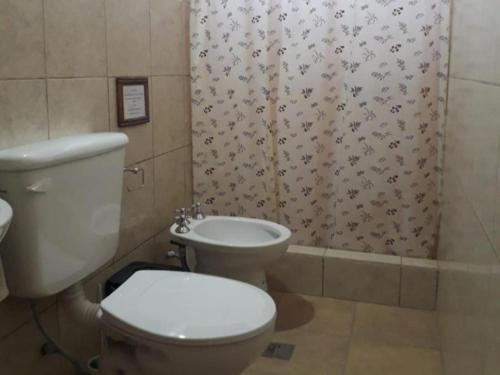 La salle de bains est pourvue de toilettes et d'un rideau de douche. dans l'établissement Cabaña Abra del Monte Monohambiente, à Cachí